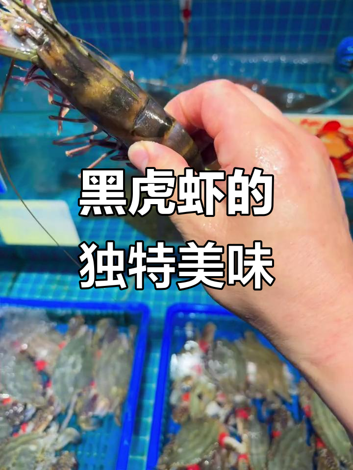 超大黑虎虾,口感鲜美又硬实!