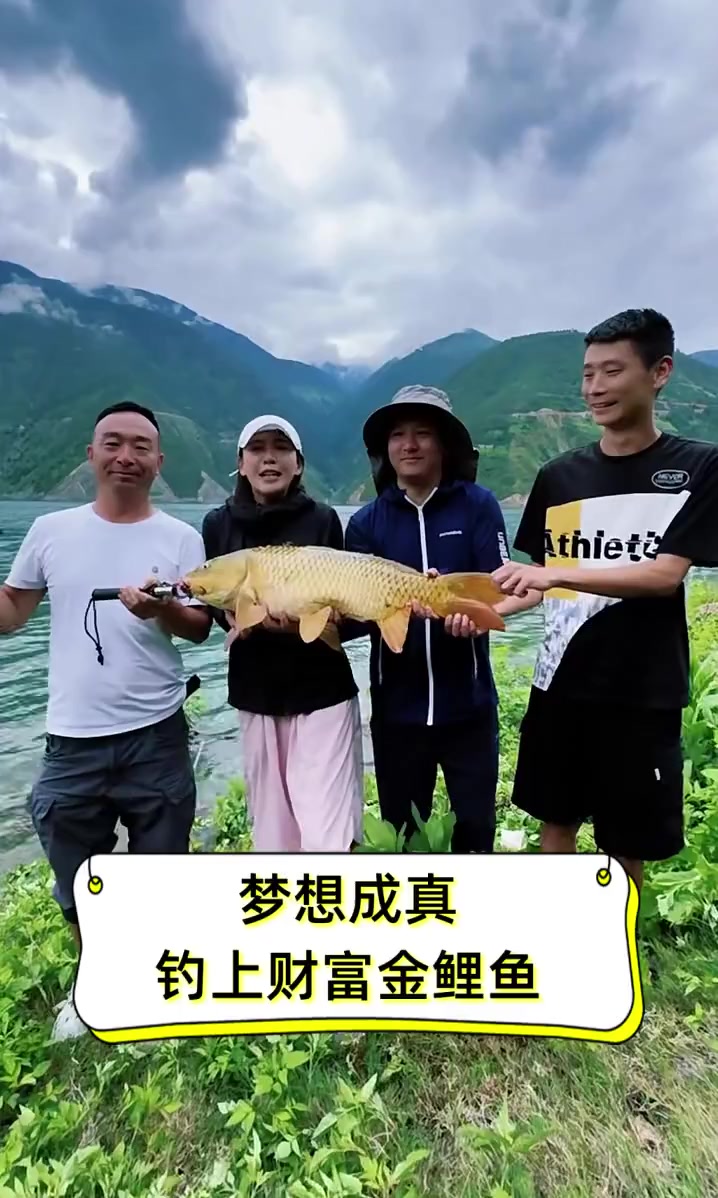 梦想成真,钓上财富金鲤鱼