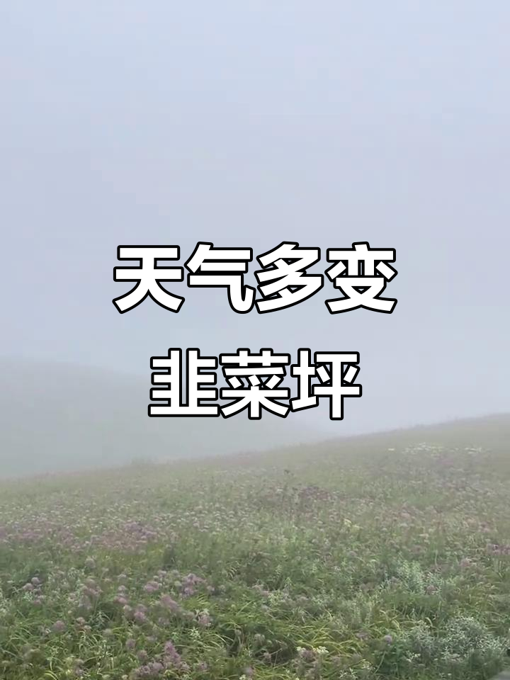 8月韭菜坪花开,天气瞬息万变