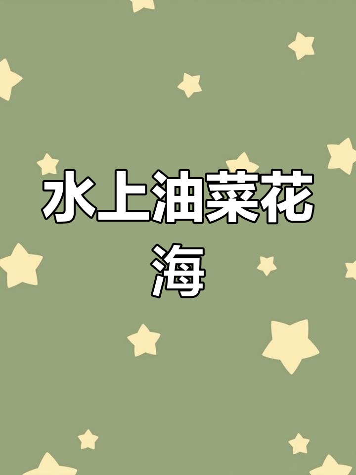 江苏兴化千垛油菜花海,水景与花的完美融合