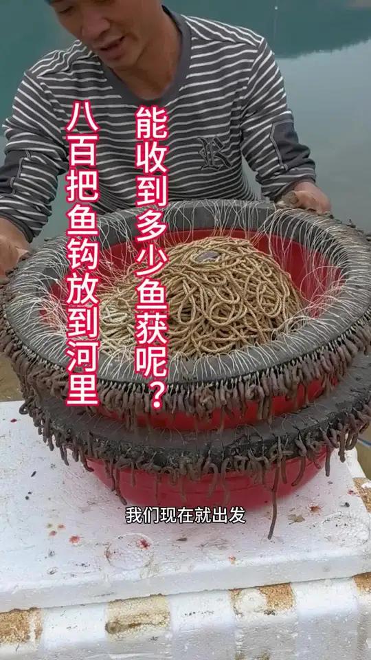 钓鱼 八百把鱼钩放到河里，能有多少鱼获呢？钓鱼真实生活分享官我的乡村生活#真实户外