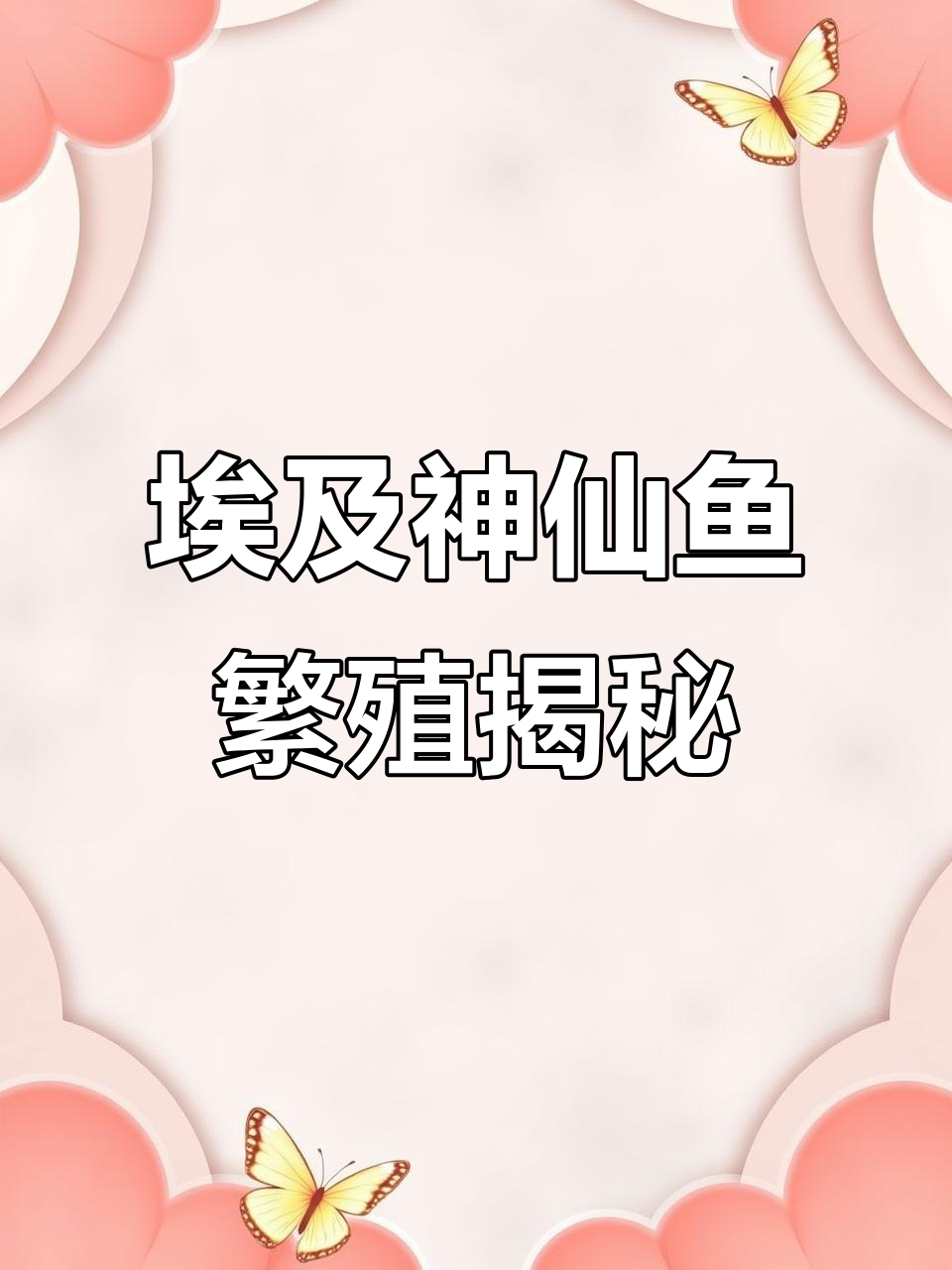 探访埃及神仙鱼大佬,神秘种苗惊艳全场