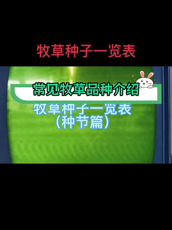 牧草种子种类解析,黑麦草是多年生吗?