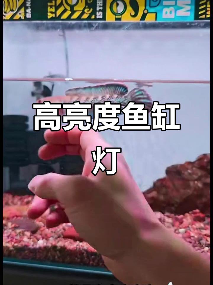 尼奥S3 Pro升级版,高亮透镜灯,适合原生缸与水草装饰