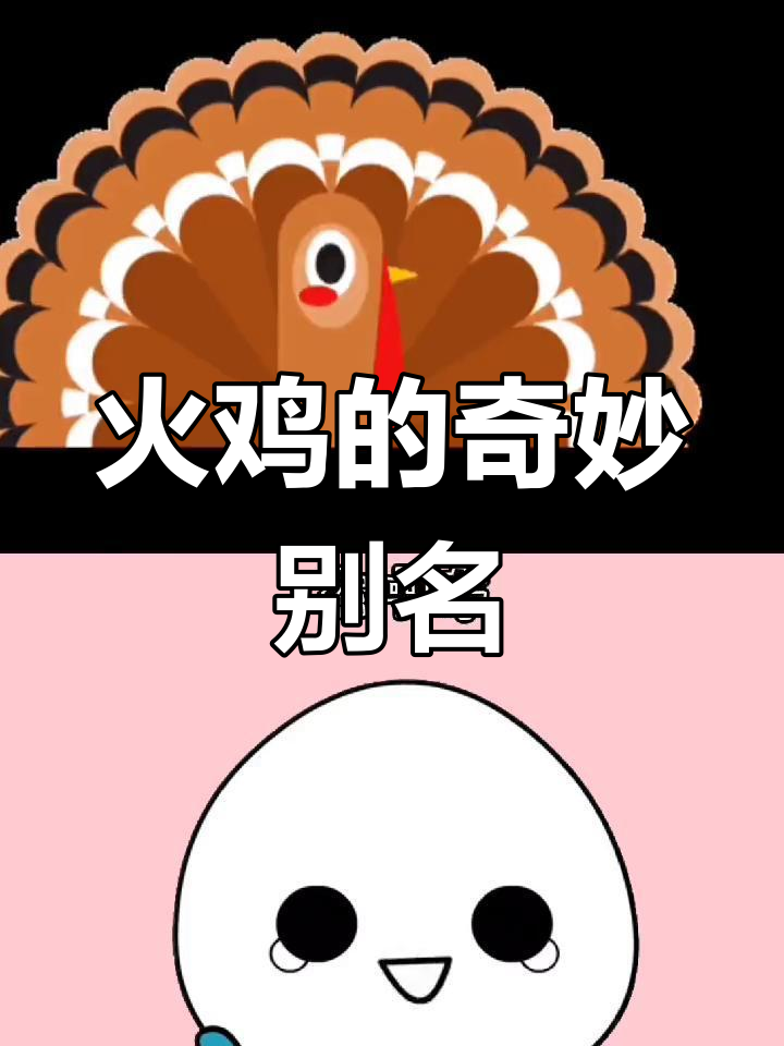 火鸡名字大揭秘:从土耳其到巨鸭,每个地方的“火鸡”都不一样