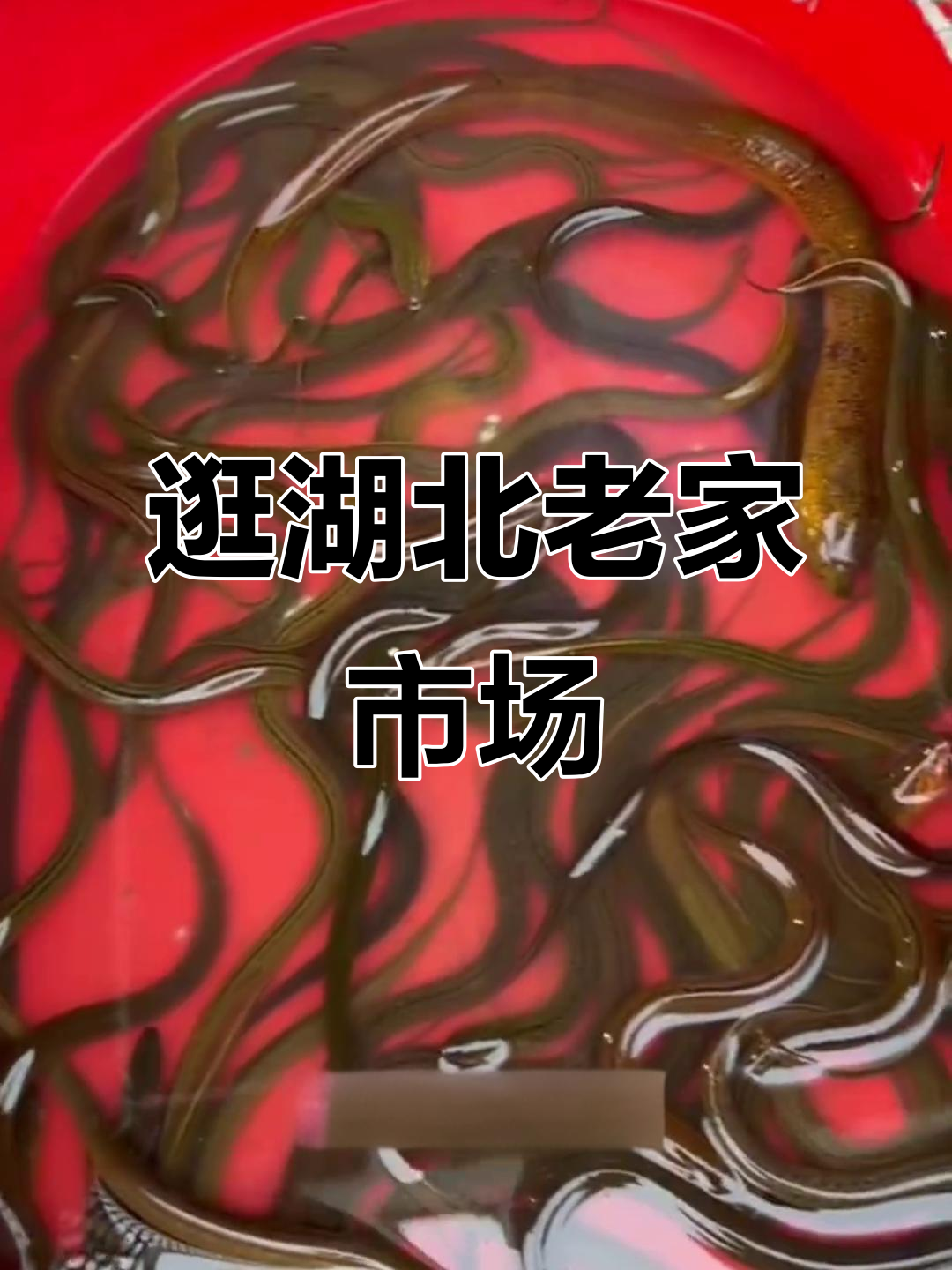 仙桃最大农贸市场大揭秘,海鲜、鱼虾一应俱全!