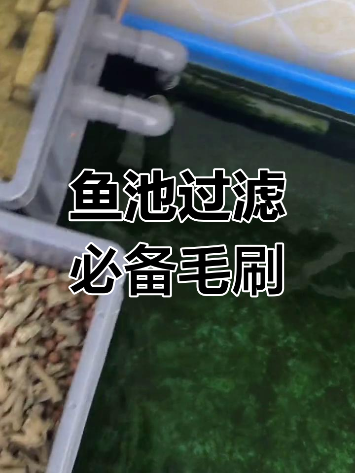 鱼池沉淀仓毛刷的作用