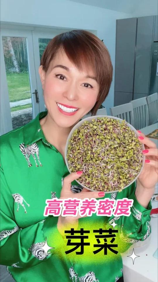 芽菜健康营养价值生酮饮食友好食品
