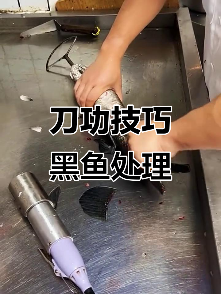 黑鱼快速处理方法,轻松去鳞、鳍和内脏