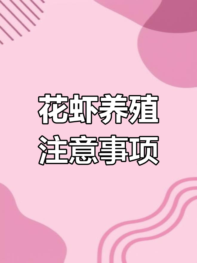 想转养花虾?这些因素你得考虑
