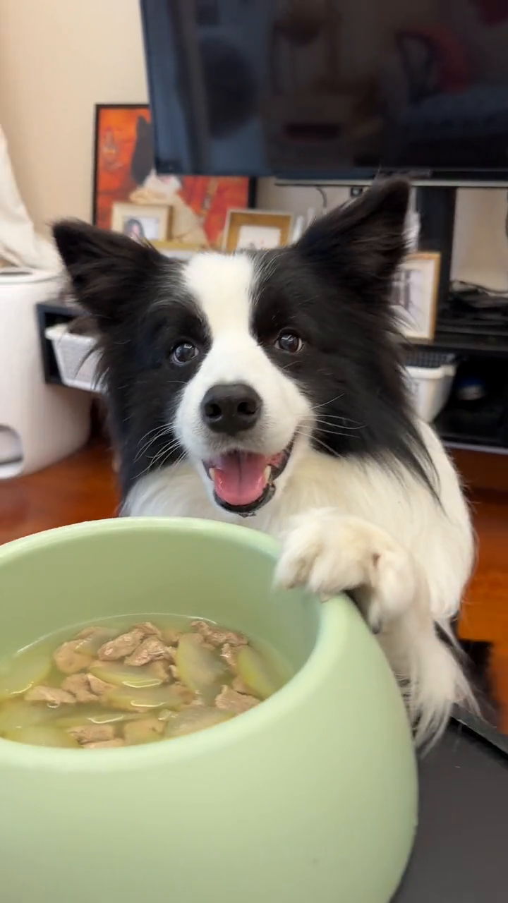 小狗我啊喝到了秋天的第一碗冬瓜鸭肉汤!