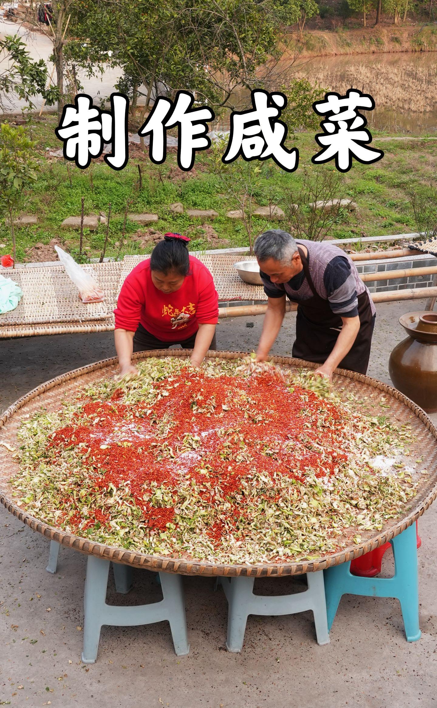 一年之计在于春,花半个月制作咸菜,这一坛又能吃上好几年了!