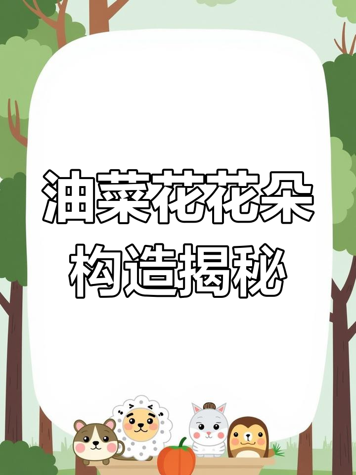 解剖油菜花,了解花朵的内部结构与自然奥秘