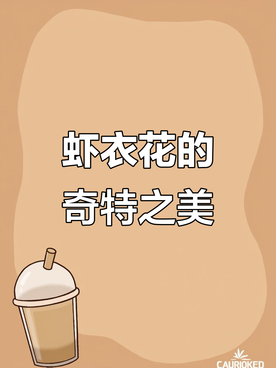 虾衣花,苞片如龙虾,常年绽放,形态独特