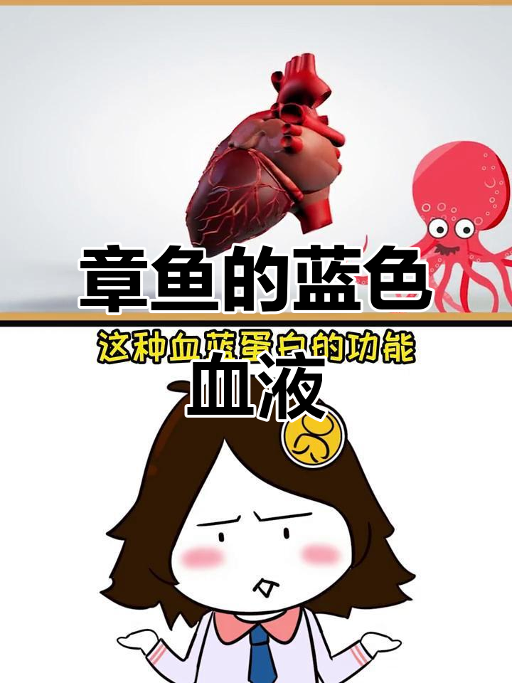 章鱼血液为何是蓝色?揭秘血蓝蛋白的奥秘