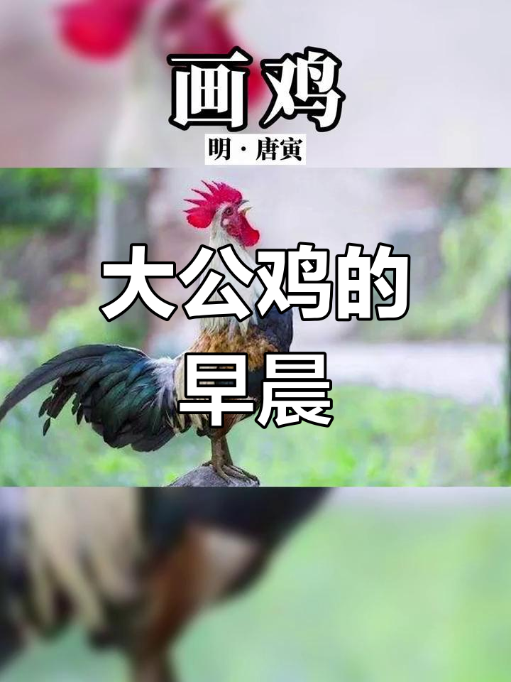 雄鸡一唱天下白
