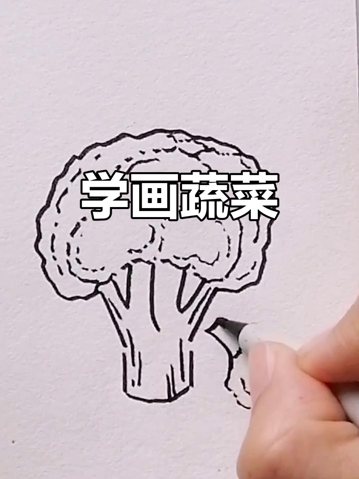 蔬菜简笔画,轻松学!