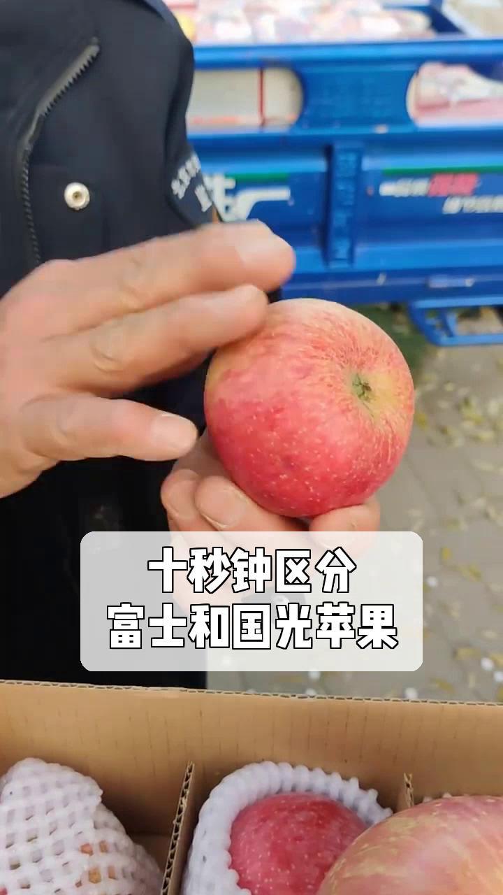 十秒钟区分,富士和国光苹果