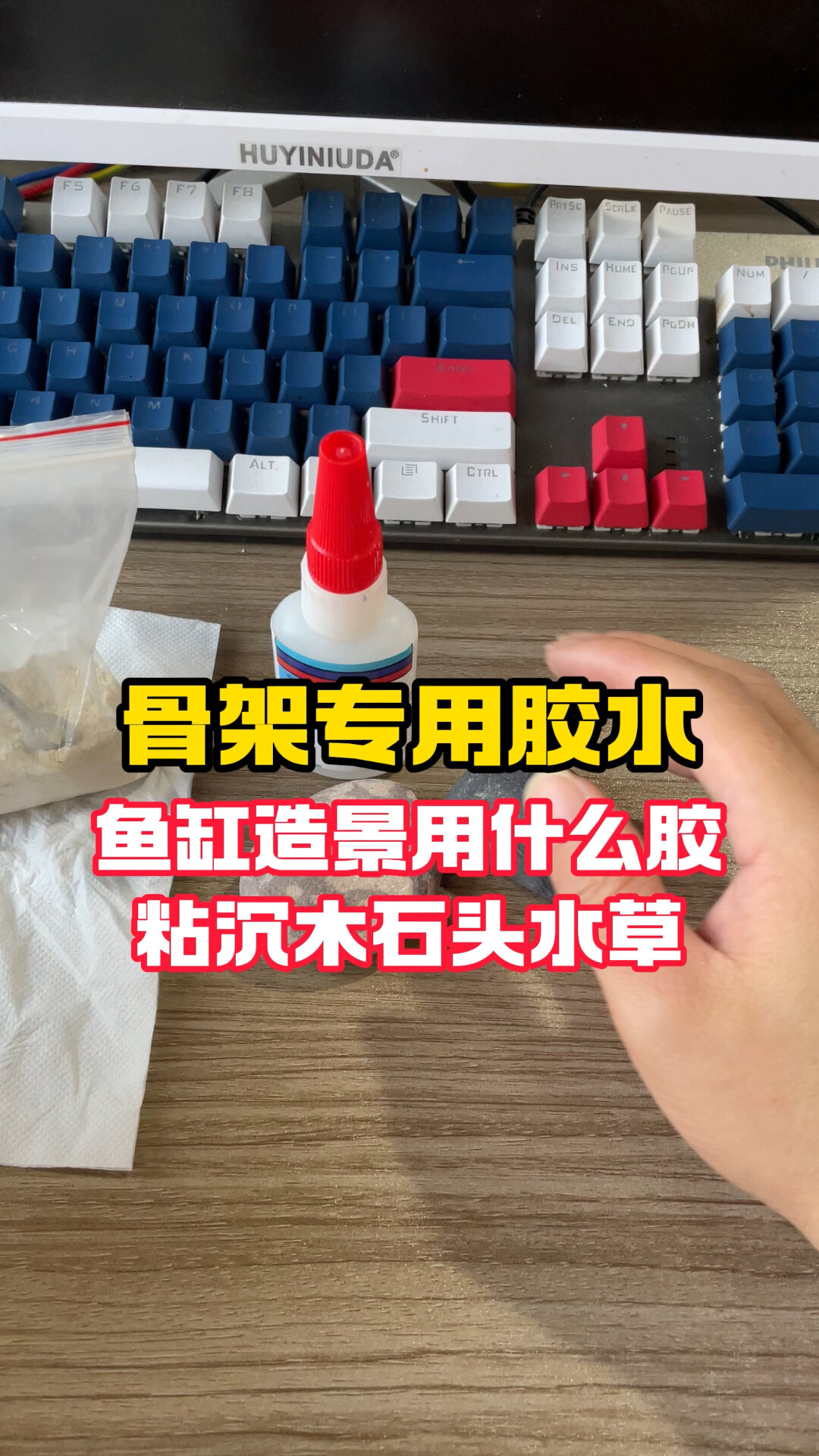造景鱼缸,骨架胶水