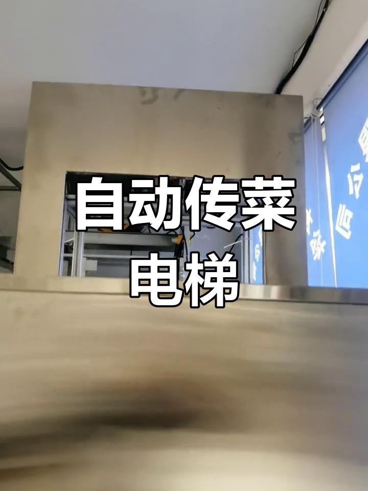 高效循环式传菜机,提升餐饮效率