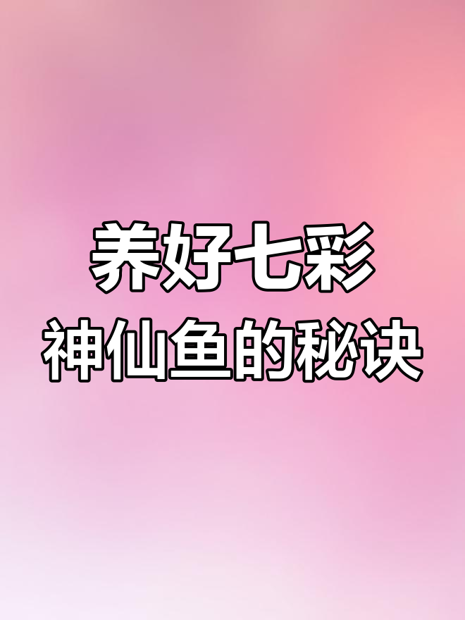 七彩神仙鱼养殖小技巧:水质、过滤和PH值全解析