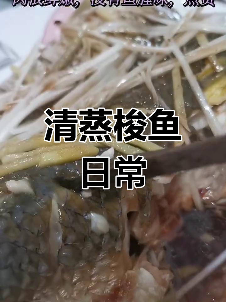 南北风味清蒸梭鱼,两人一餐