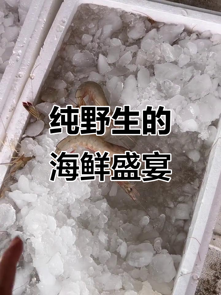 渤海湾野生大对虾,新鲜美味不容错过