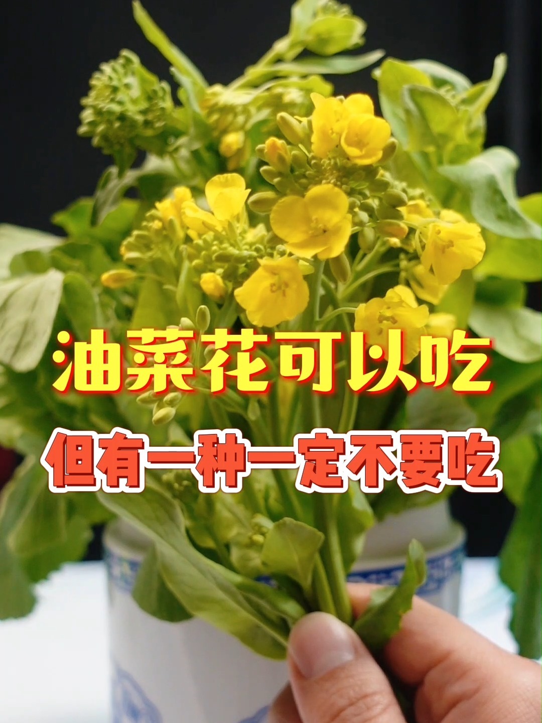 油菜花能不能吃,吃油菜花注意事项