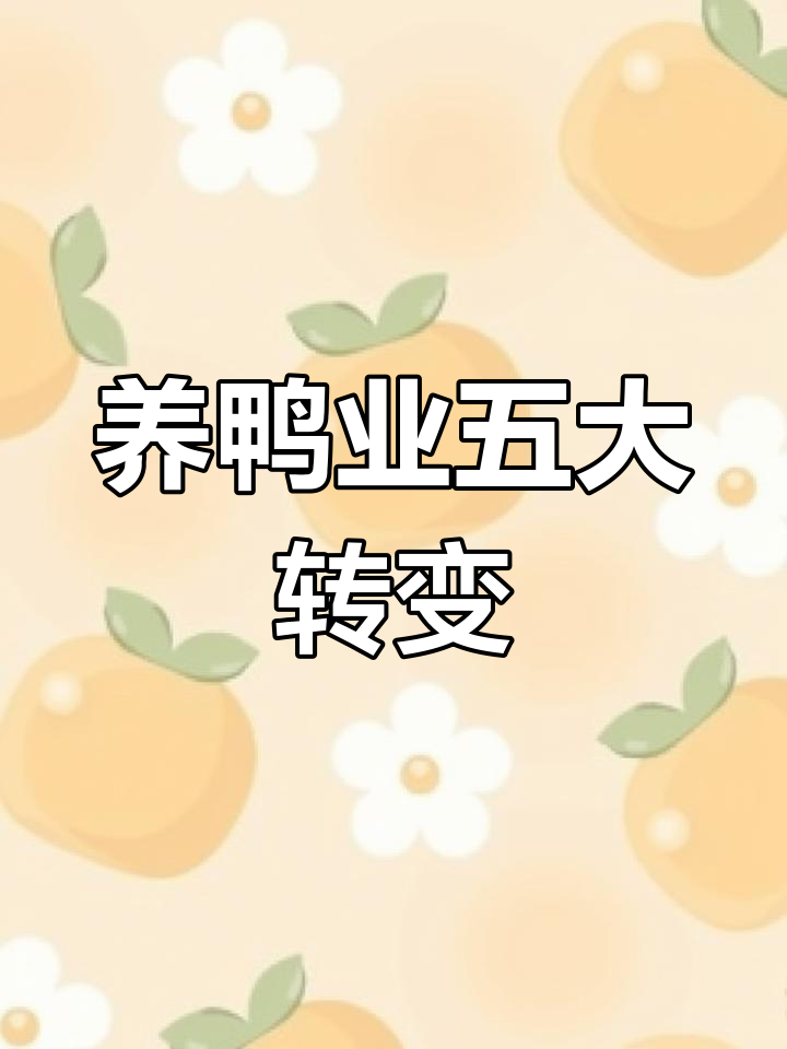 未来养鸭行业五大趋势,合作、规模化与环保成关键