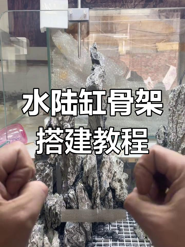 水陆缸造景技巧:从主峰到层次协调