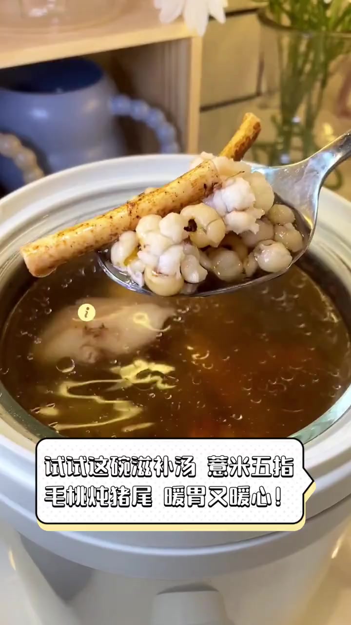 试试这碗滋补汤,薏米五指毛桃炖猪尾,暖胃又暖心!