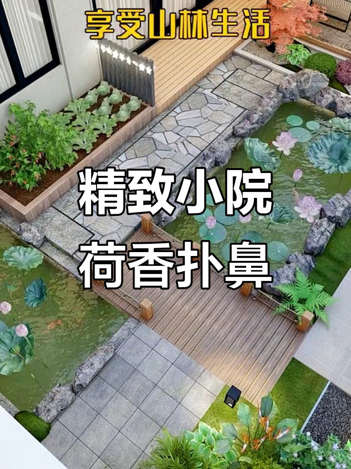 小院设计荷花池,休闲区与鱼池完美结合