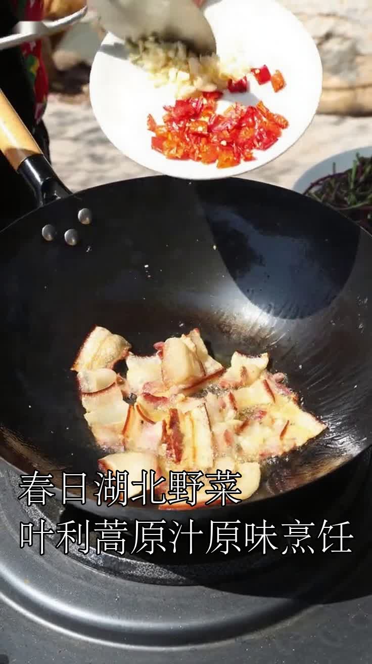 春日湖北野菜叶利蒿原汁原味烹饪