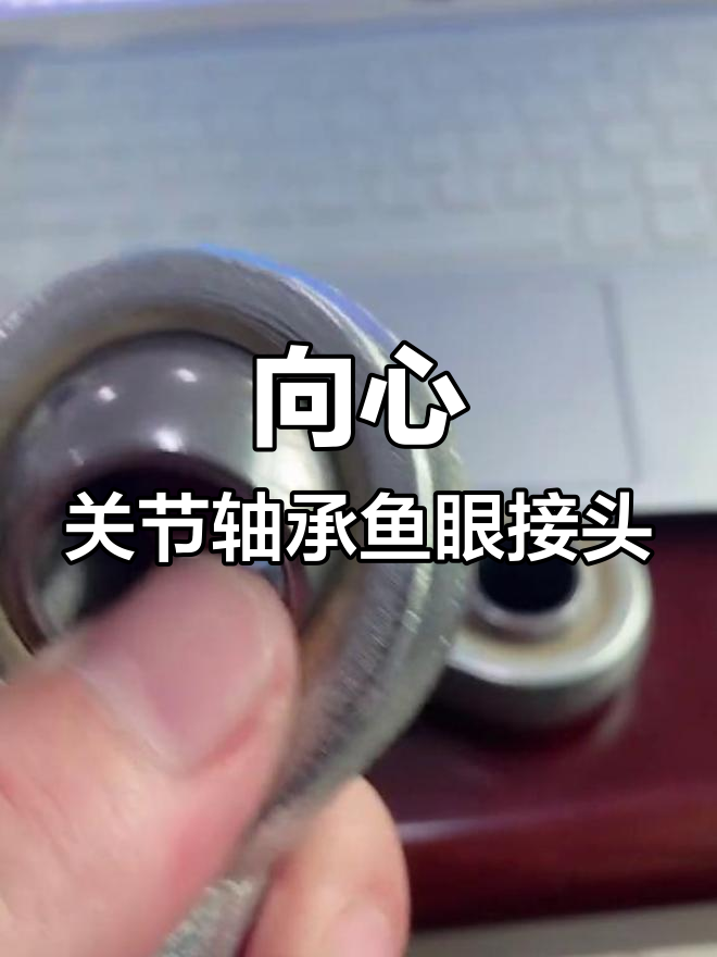 杆端向心关节轴承鱼眼接头,正反内螺纹设计更灵活