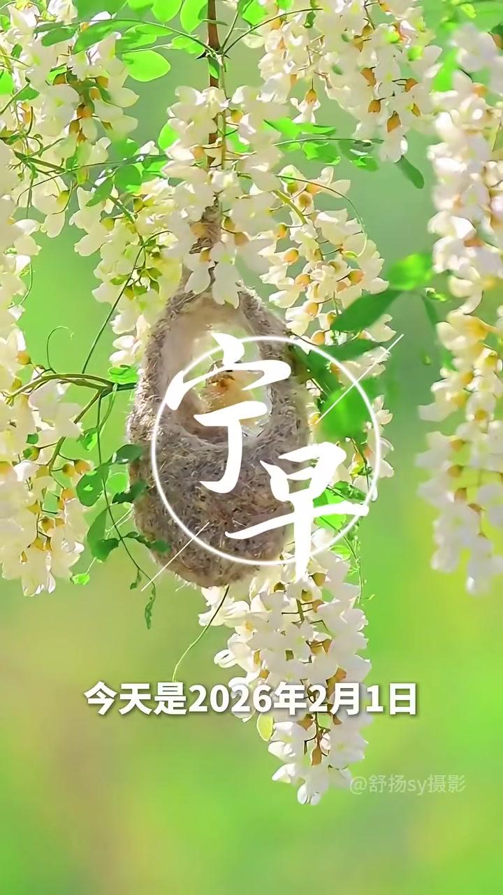 #早安问候#宁早今天是2026年2月1日，星期天，农历腊月十四。愿你带着收获的满足，卸下忙