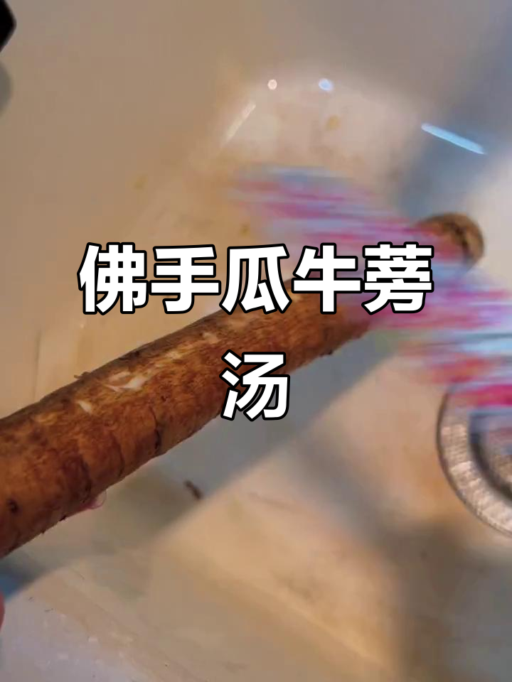 佛手瓜牛蒡汤,懒人必备美味靓汤