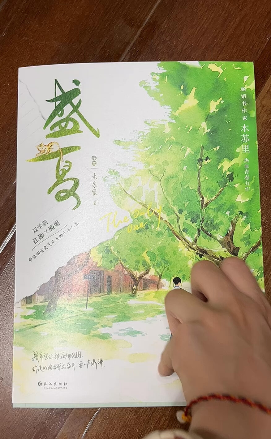 盛夏序章反过来的封面就是原来的某某啊……