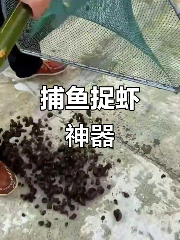 今晚吃虾还是田螺?捞网神器帮你轻松捕捉!