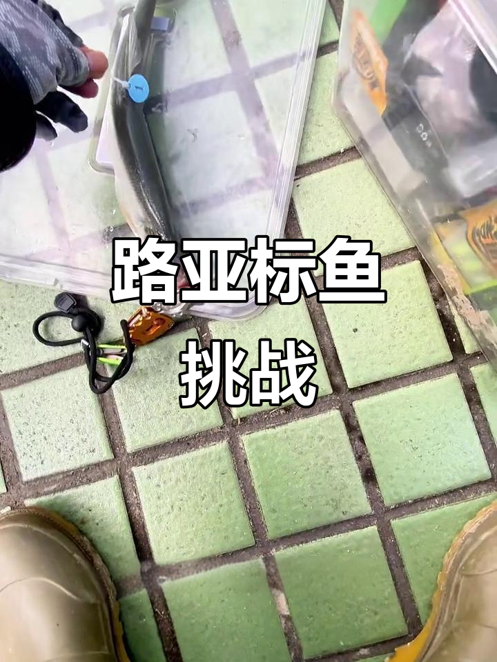 路亚标鱼大作战，飞鱼定制标识助力钓友记录