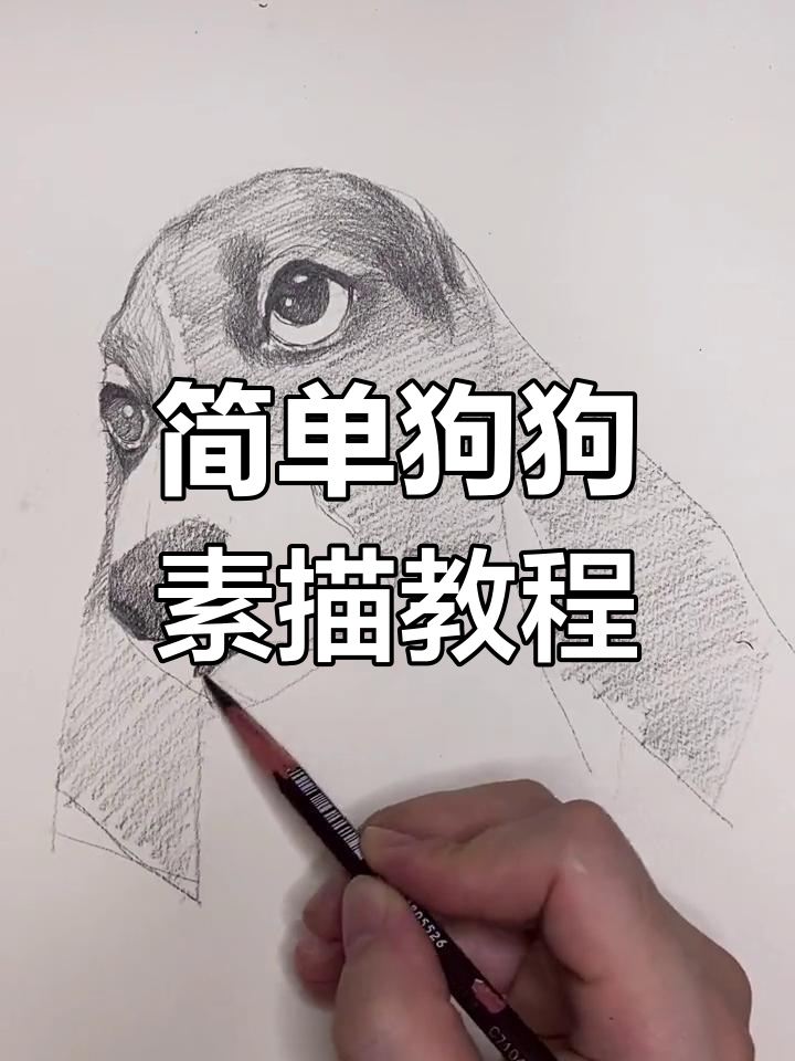 轻松学会狗狗素描,步骤详解在家也能画