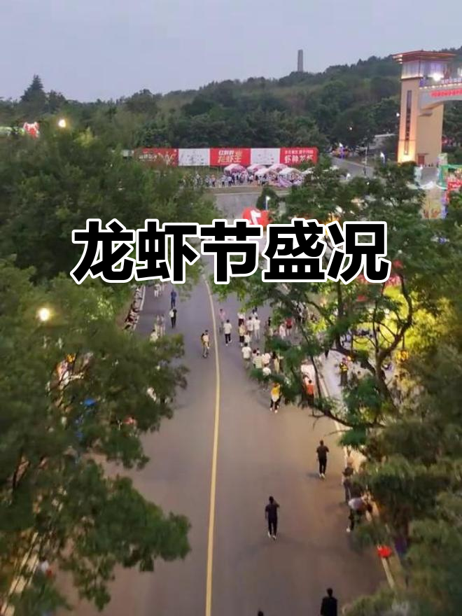 盱眙龙虾节热闹非凡，明星助阵，观众热情高涨