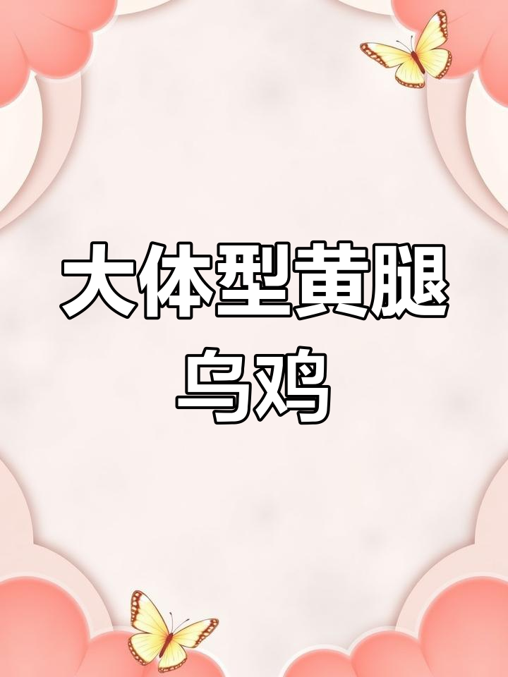 快大型凉凤花鸡苗,四个月长十斤