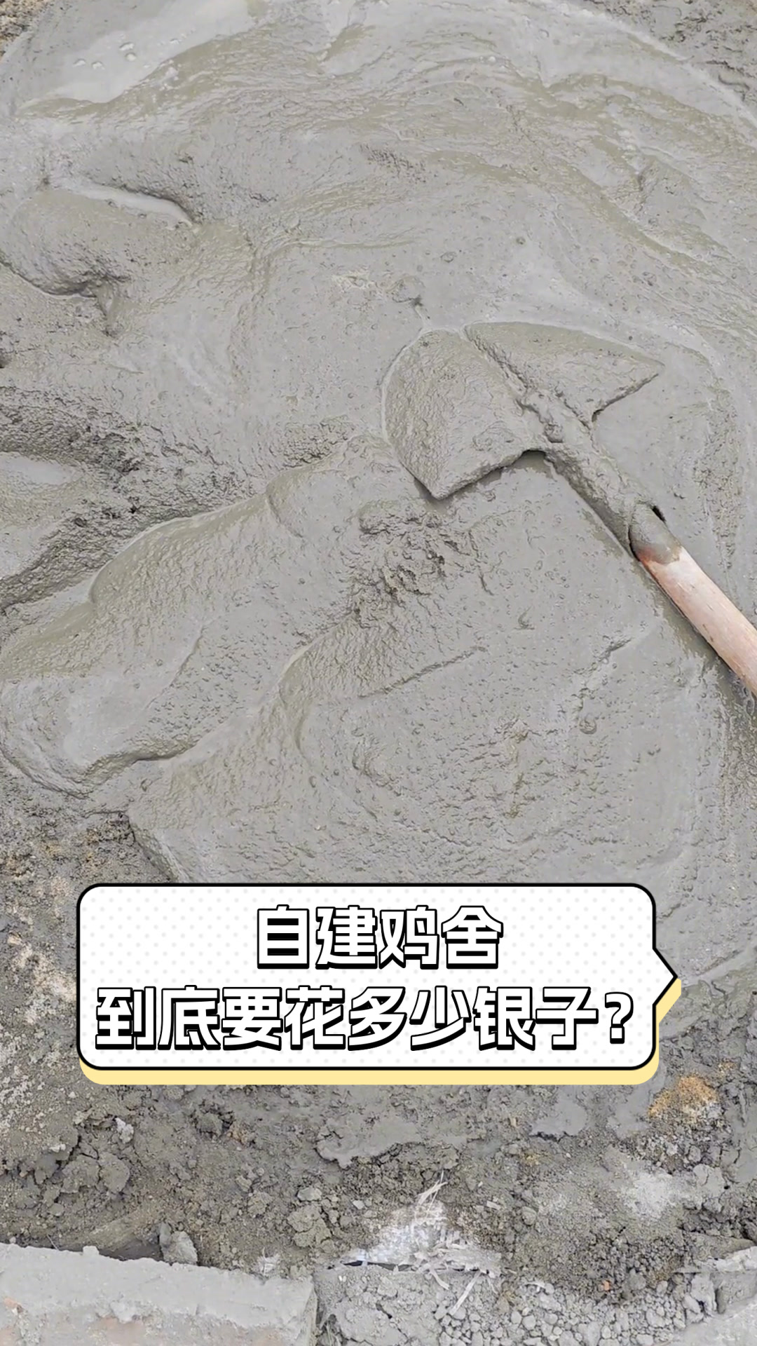 自建鸡舍,到底要花多少银子?