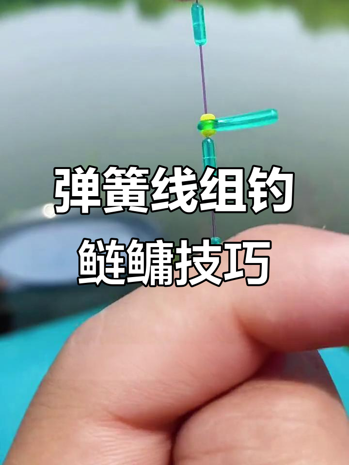 弹簧线组钓鲢鳙技巧大揭秘,如何应对不同钓鱼场景
