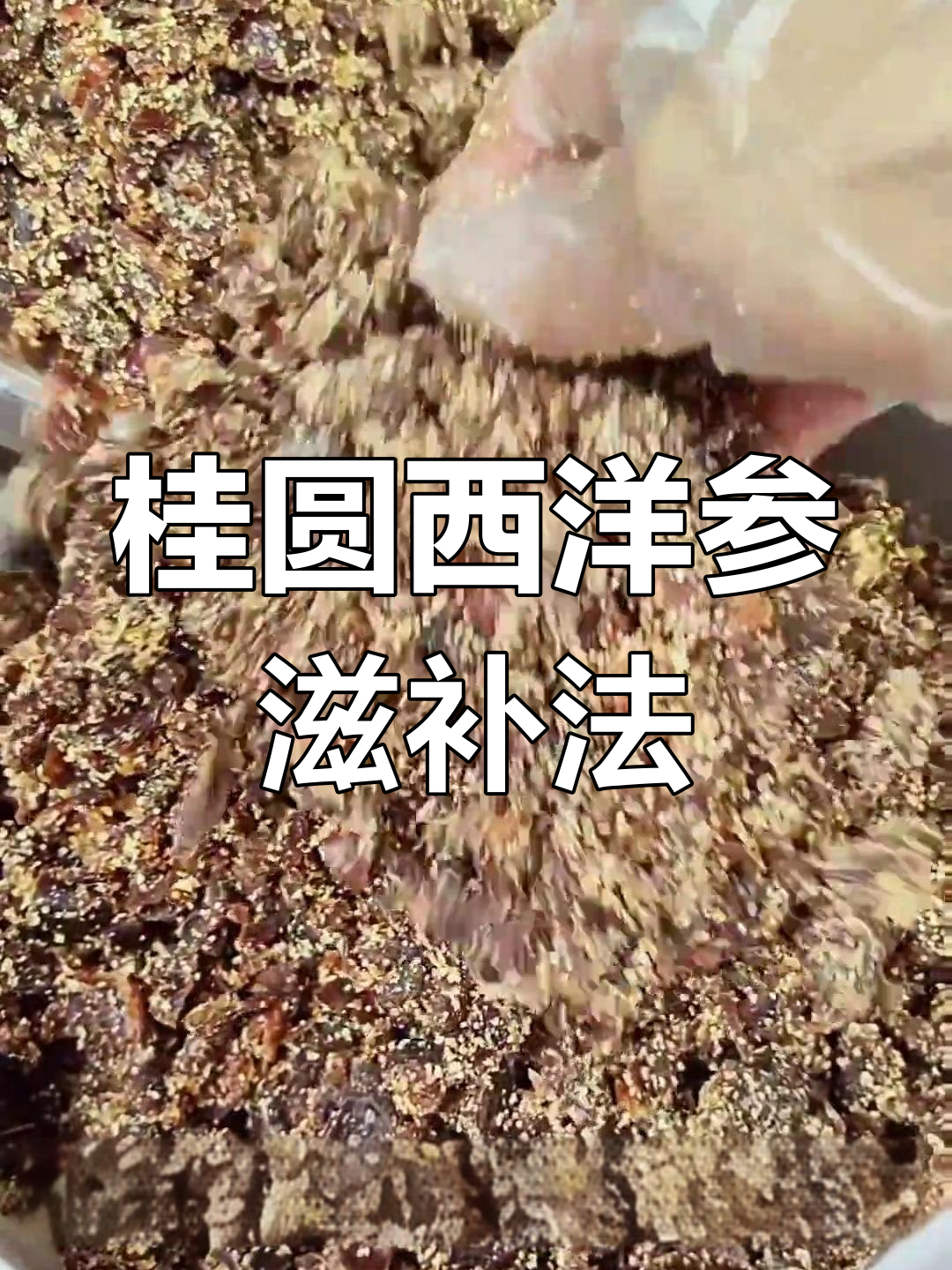 桂圆与西洋参的完美搭配,蒸一蒸解决大烦恼
