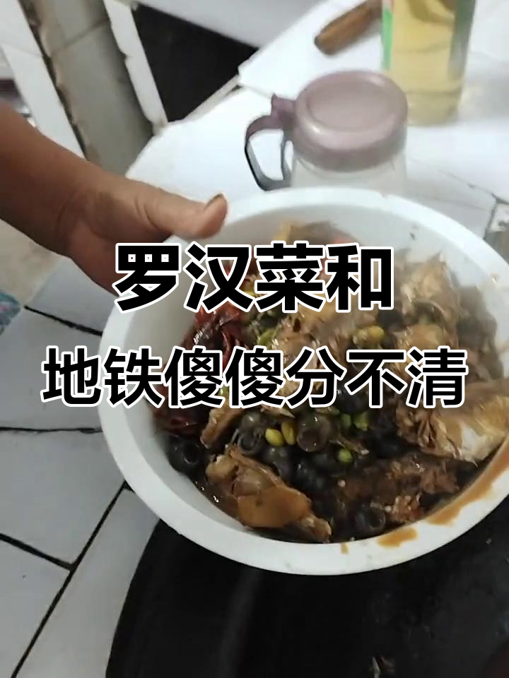 2022年,这是罗汉菜还是地铁?搞不清楚了!