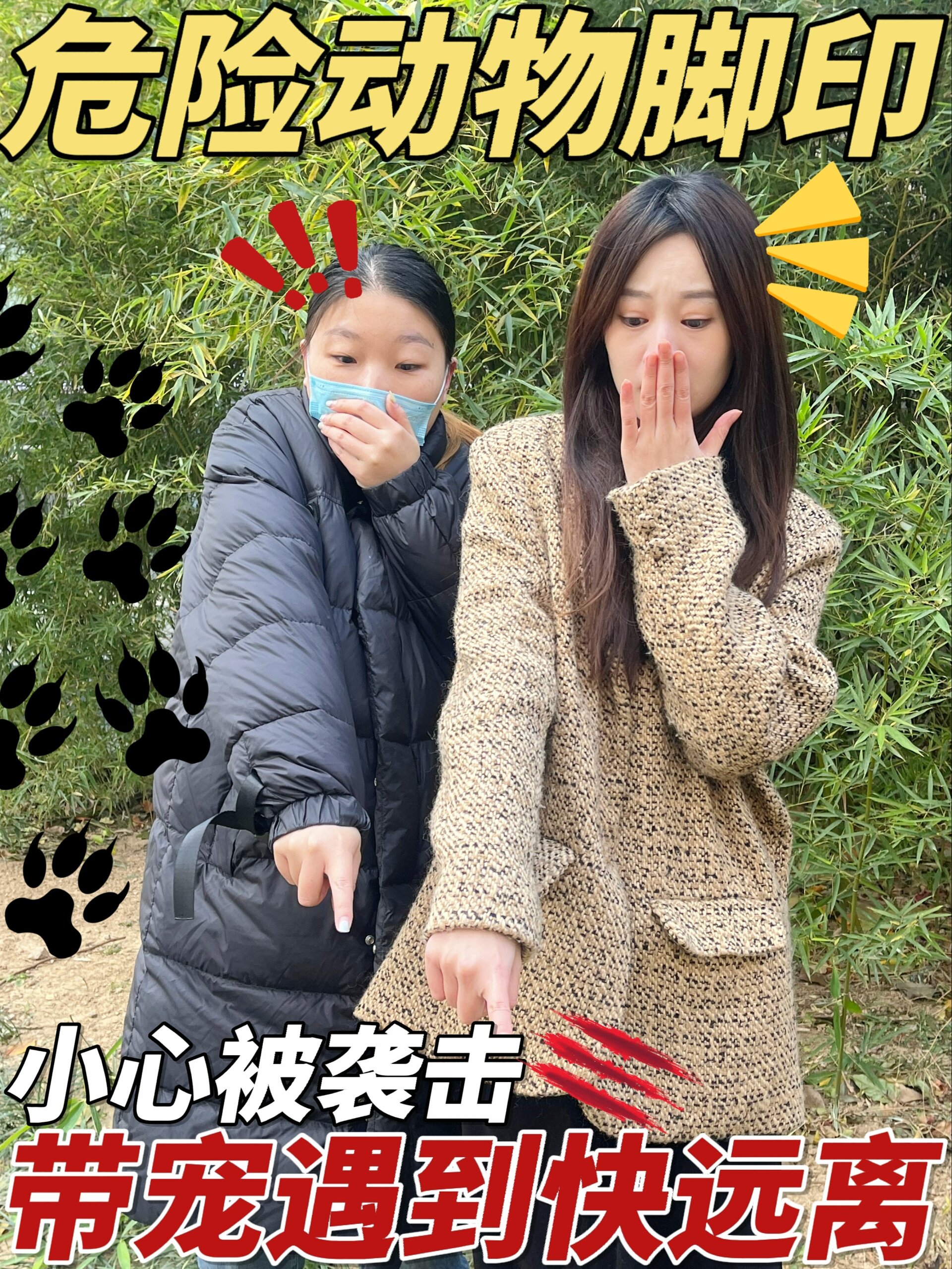 危险野外看到这些动物脚印赶快跑