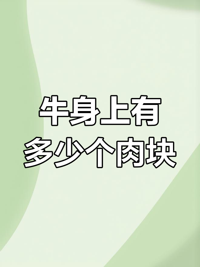 一头牛能分割出多少种美味部位？揭秘牛肉的独特魅力