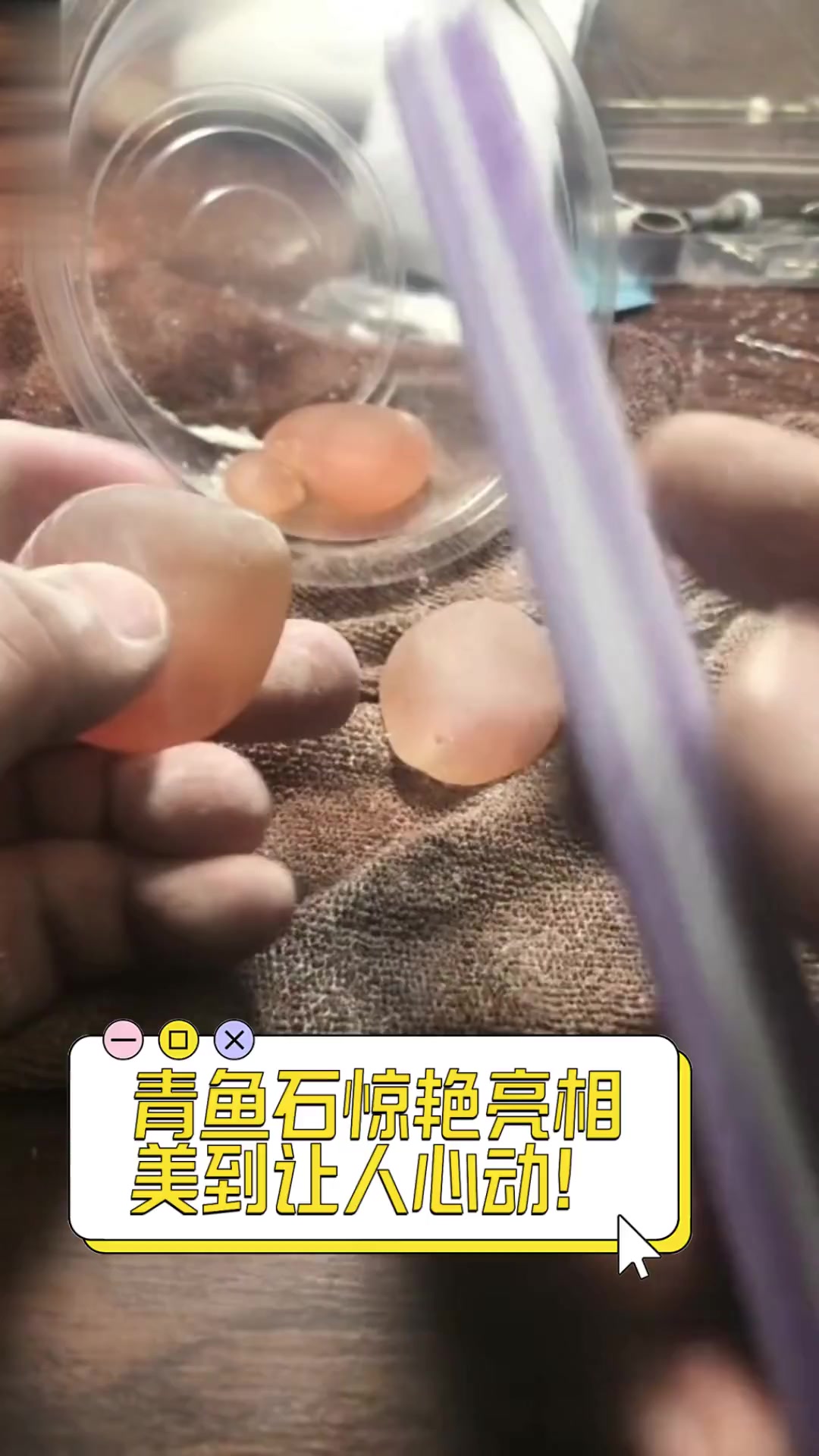 青鱼石惊艳亮相,美到让人心动!