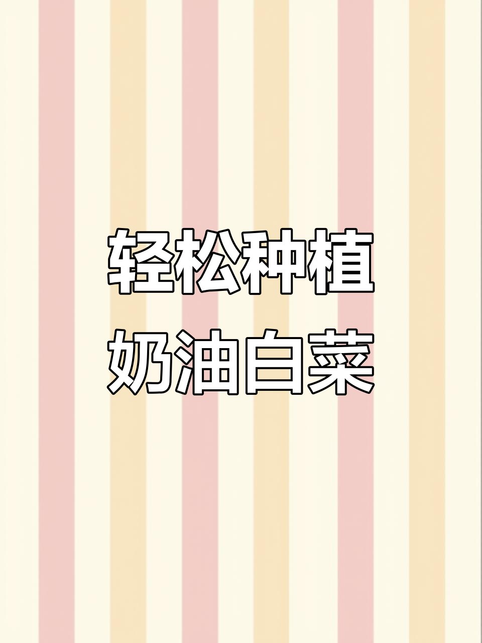 阳台种奶油小白菜,简单又美味!